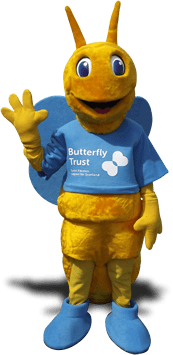 BUTTERFLY CHARACTER COSTUME
