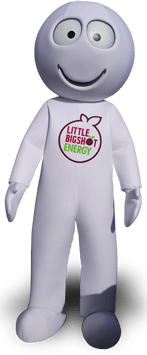 MASCOT COSTUMES