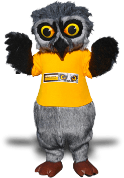 OWL MASCOT COSTUMES