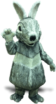 RABBIT MASCOTS