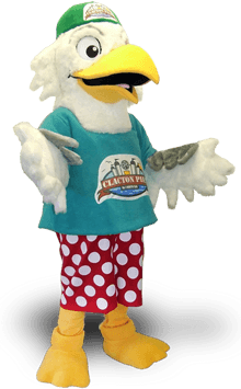 SEAGULL CHARACTER COSTUMES