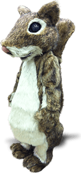 SQUIRREL MASCOTS
